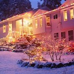 Want Fantastic Lighting?