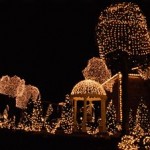 Want A Lighted Paradise?